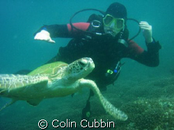 kane with turtle by Colin Cubbin 